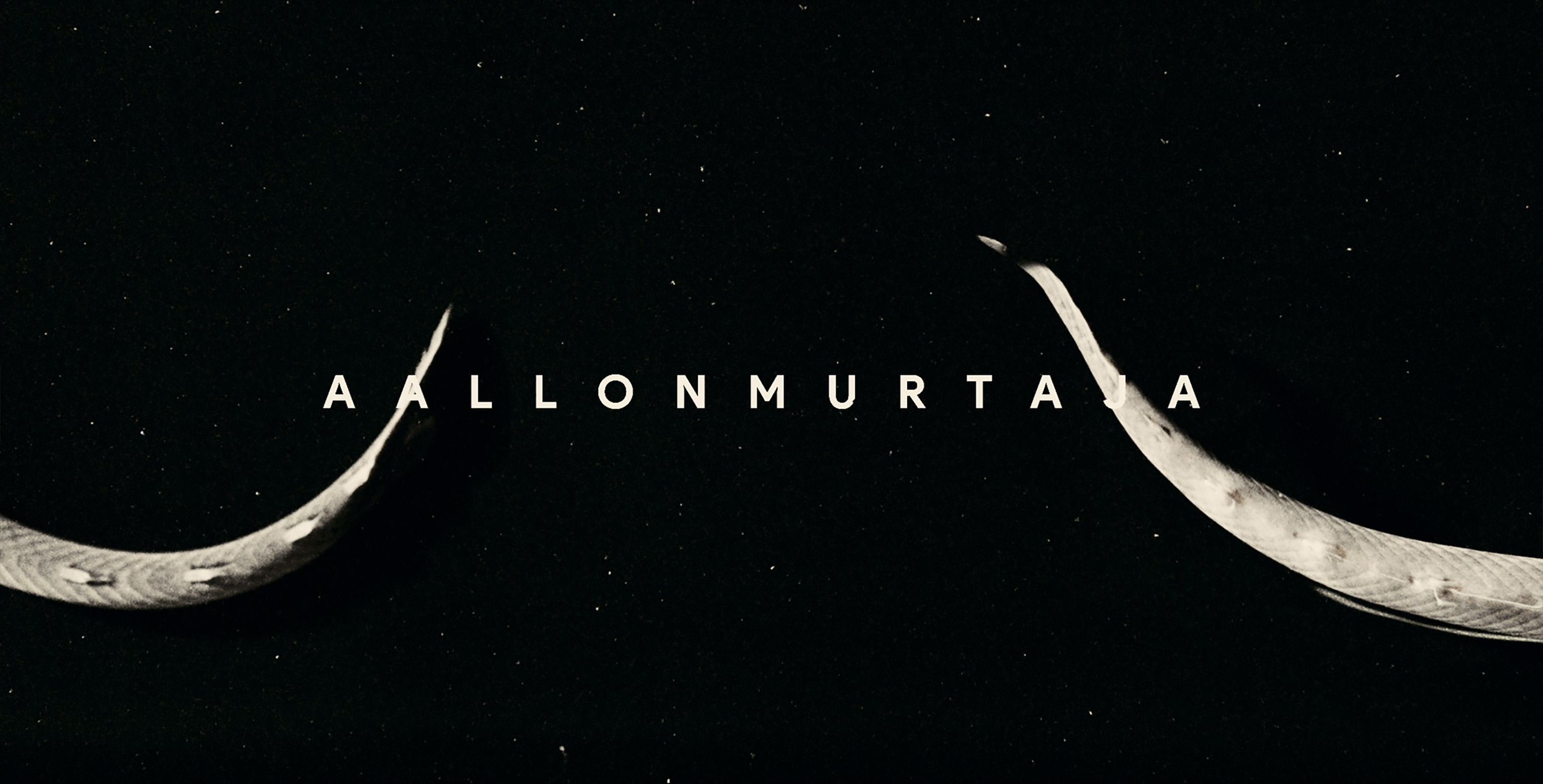 Aallonmurtaja sarja – C More Suomi, Tero Ahonen, Helsinki